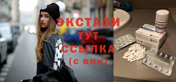 индика Инта
