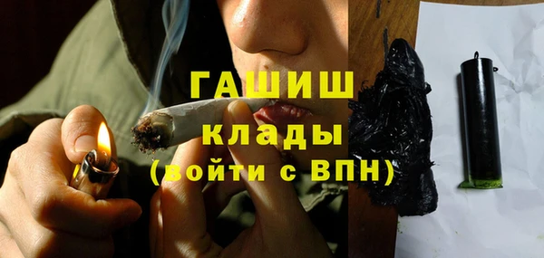 индика Инта