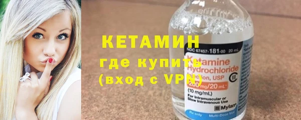 индика Инта