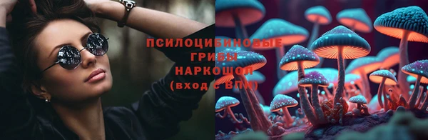индика Инта
