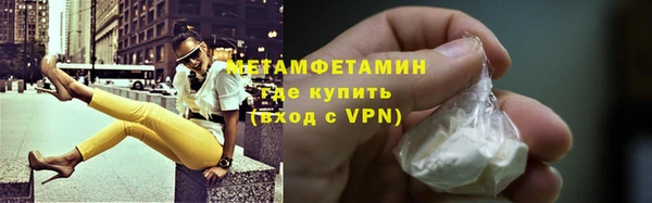 индика Инта