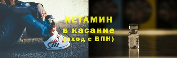 индика Инта
