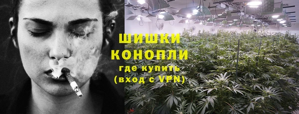 индика Инта