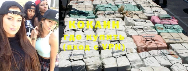 кокс Инсар