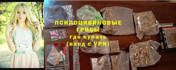 индика Инта