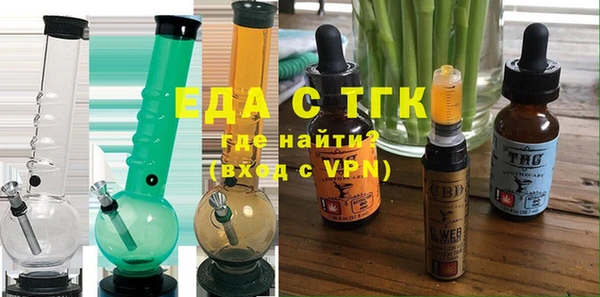 индика Инта