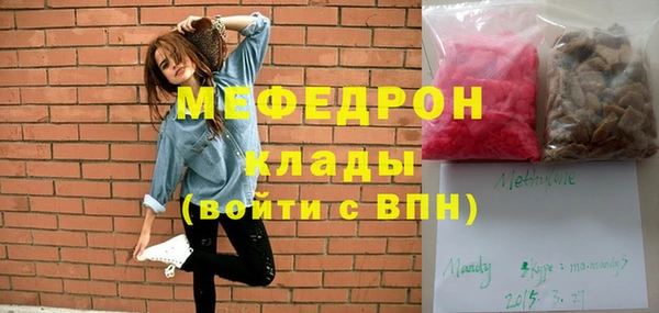 индика Инта