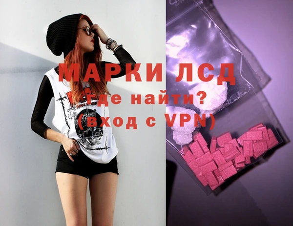 индика Инта