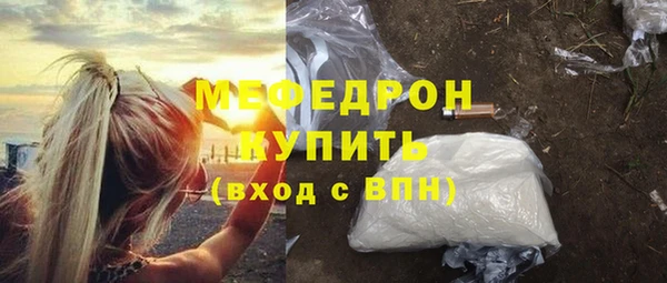 индика Инта
