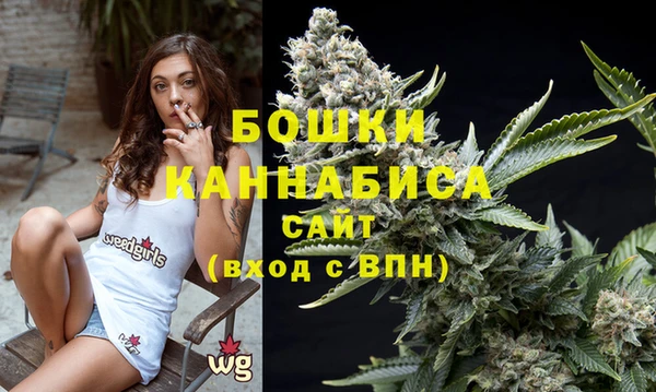 кокс Инсар