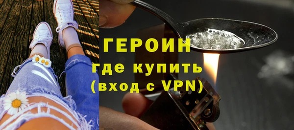 индика Инта