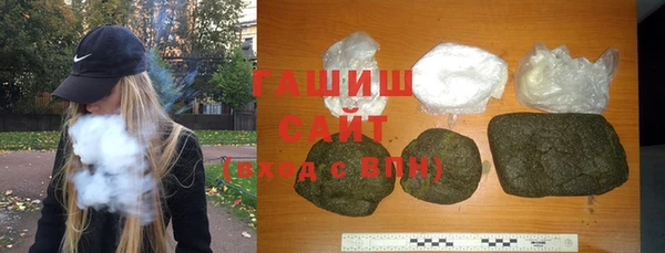 индика Инта