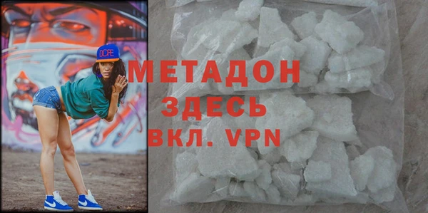 индика Инта